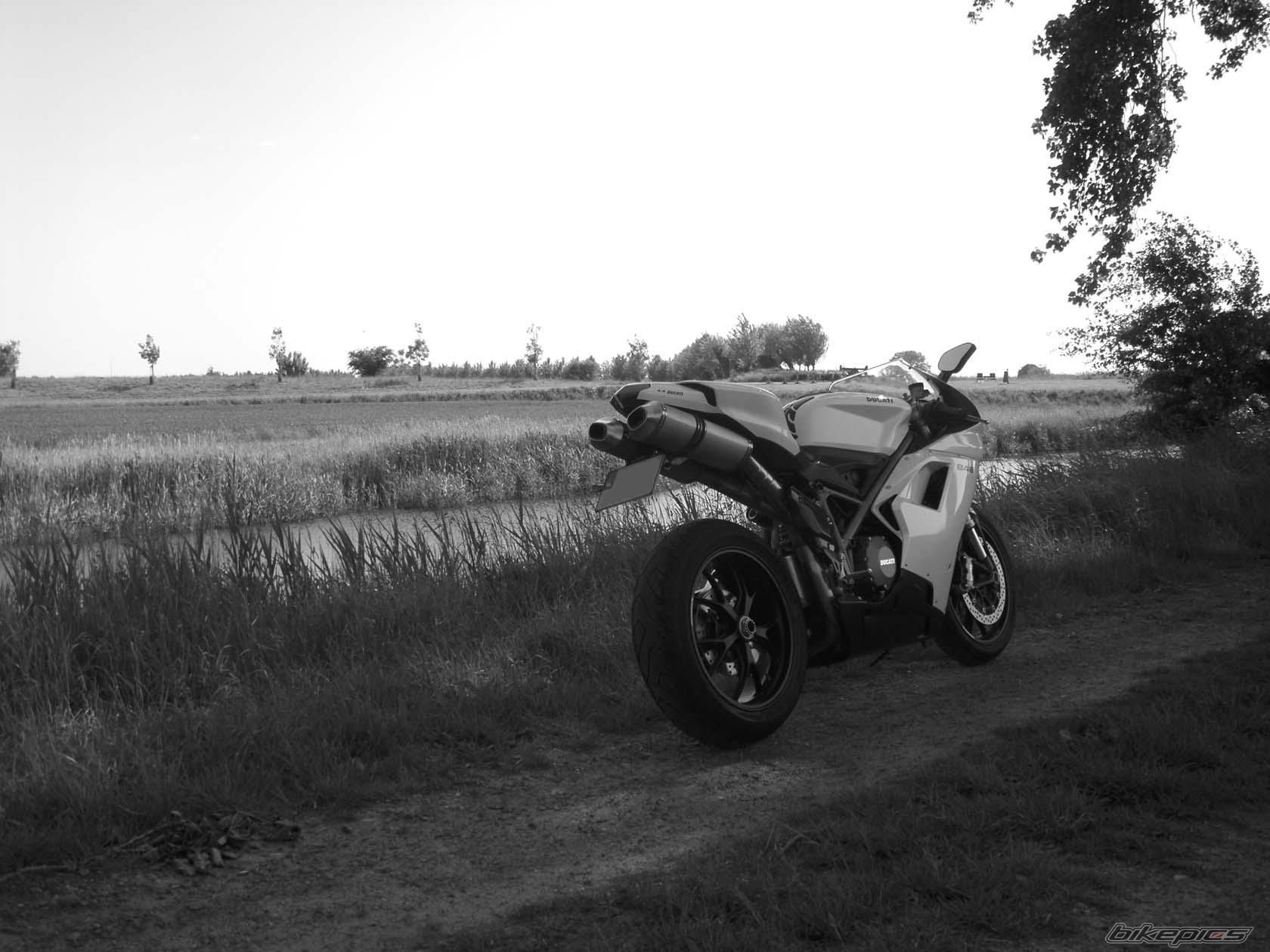Photo 1680277