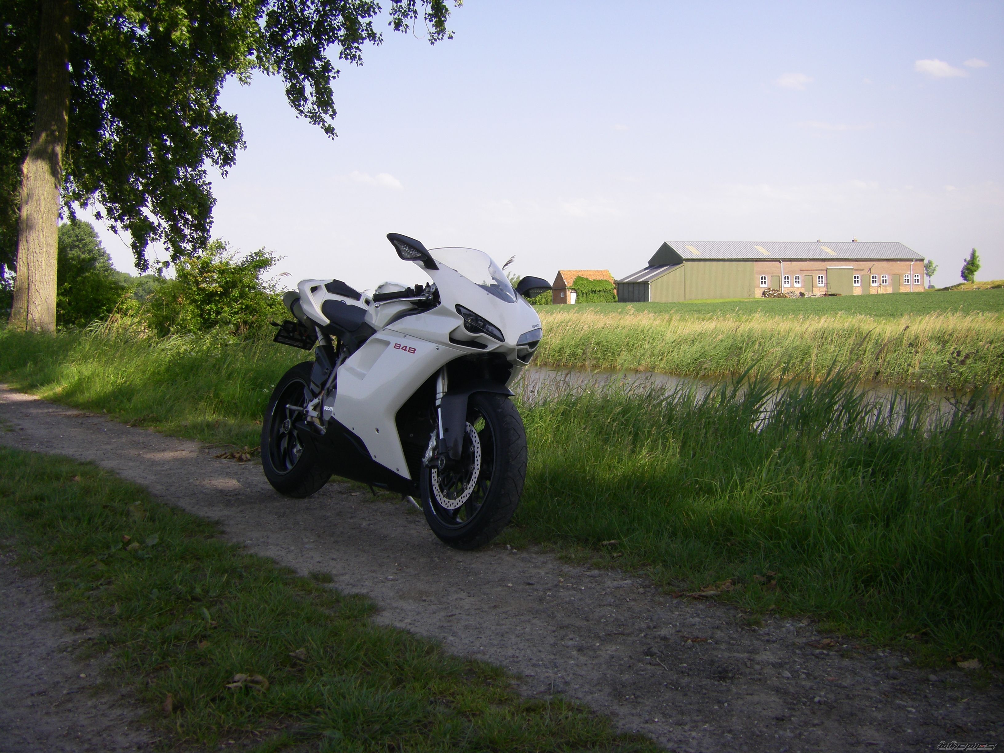 Photo 1680290