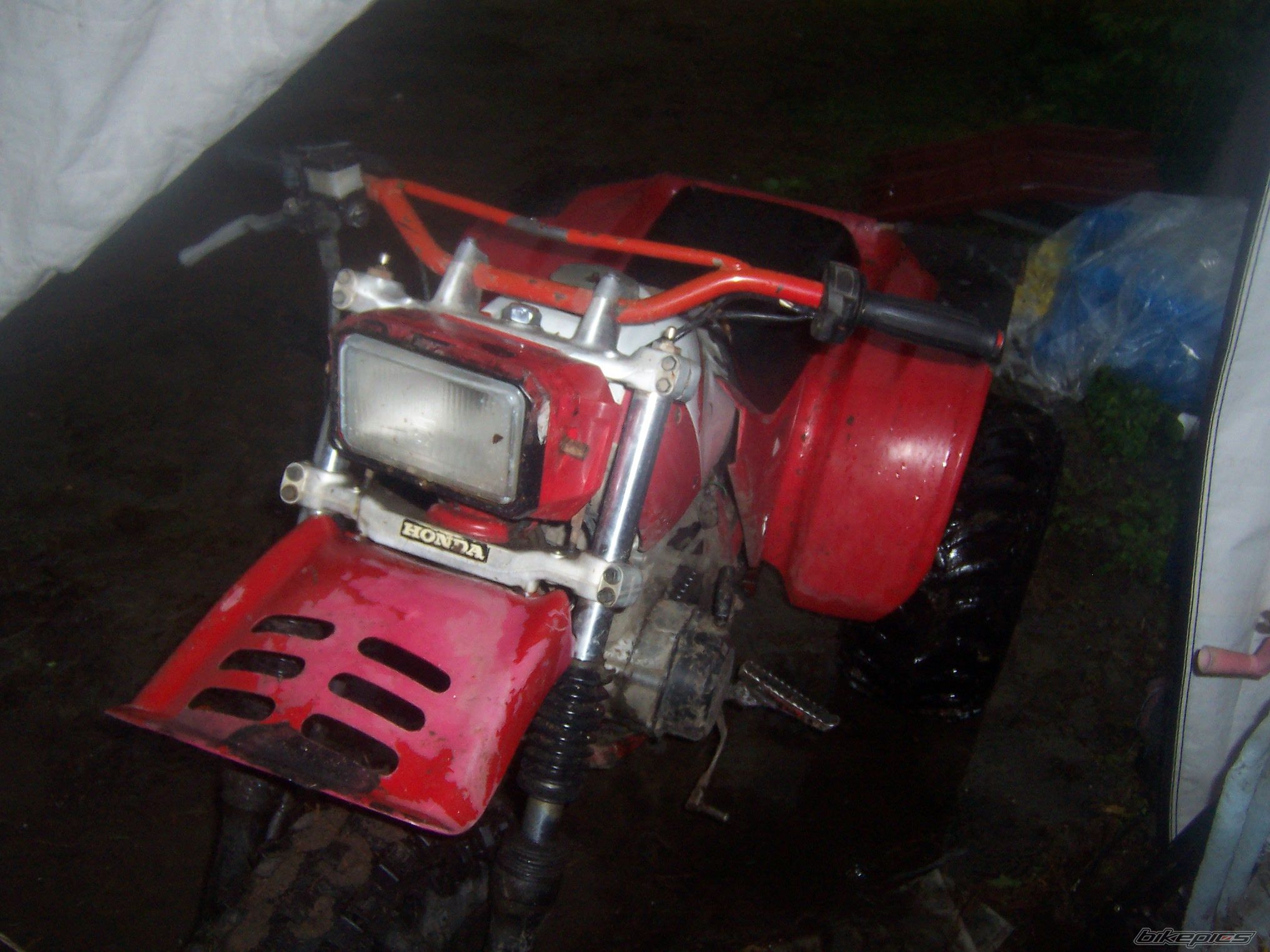 Photo 1680592