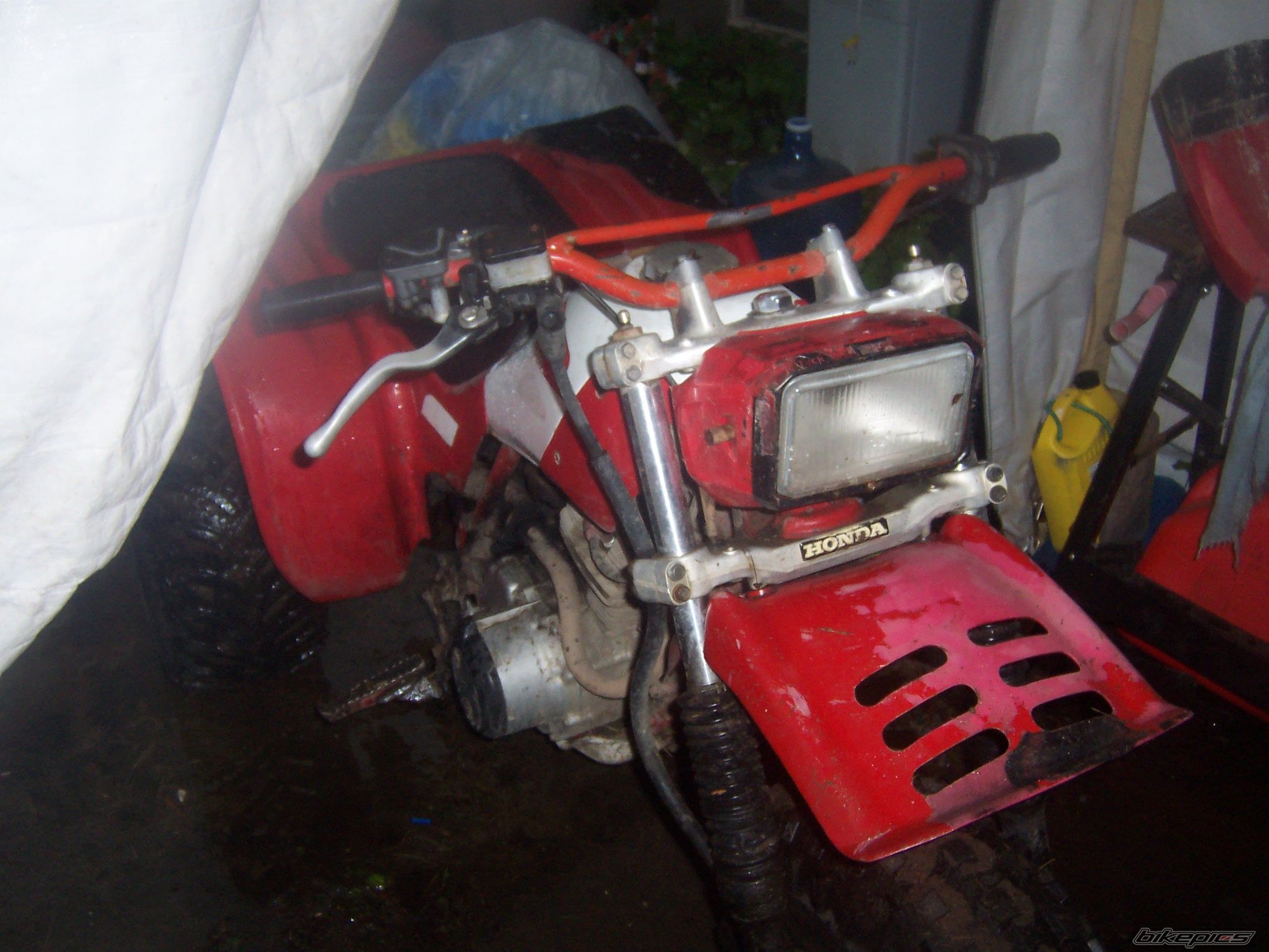 Photo 1680594