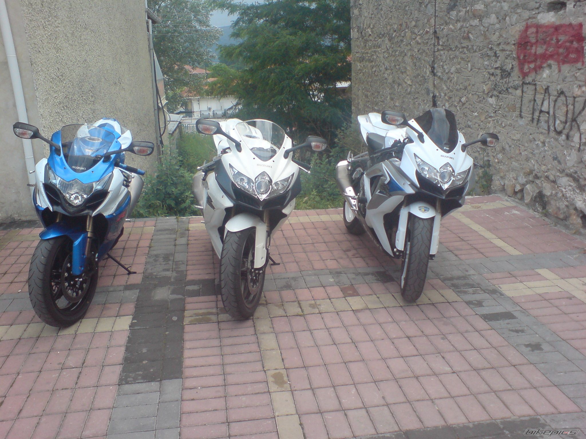Photo 1681081