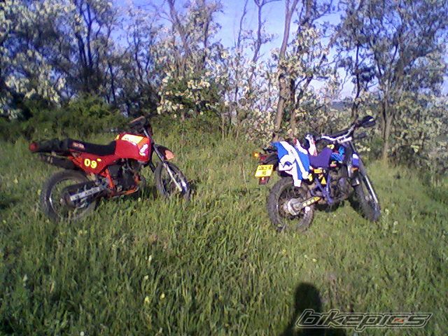 Photo 1681092