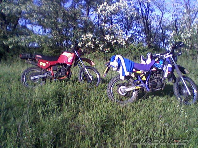 Photo 1681095