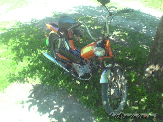 Photo 1681168