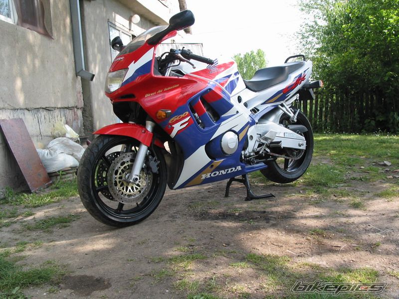 Photo 1681239