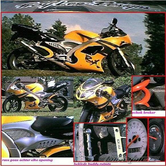 Photo 168131