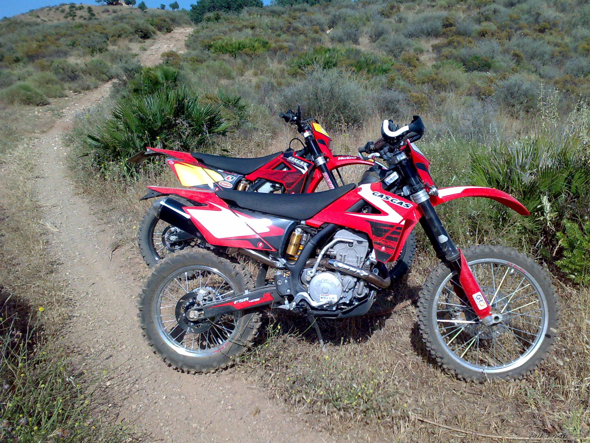 Bike Photo 1681384