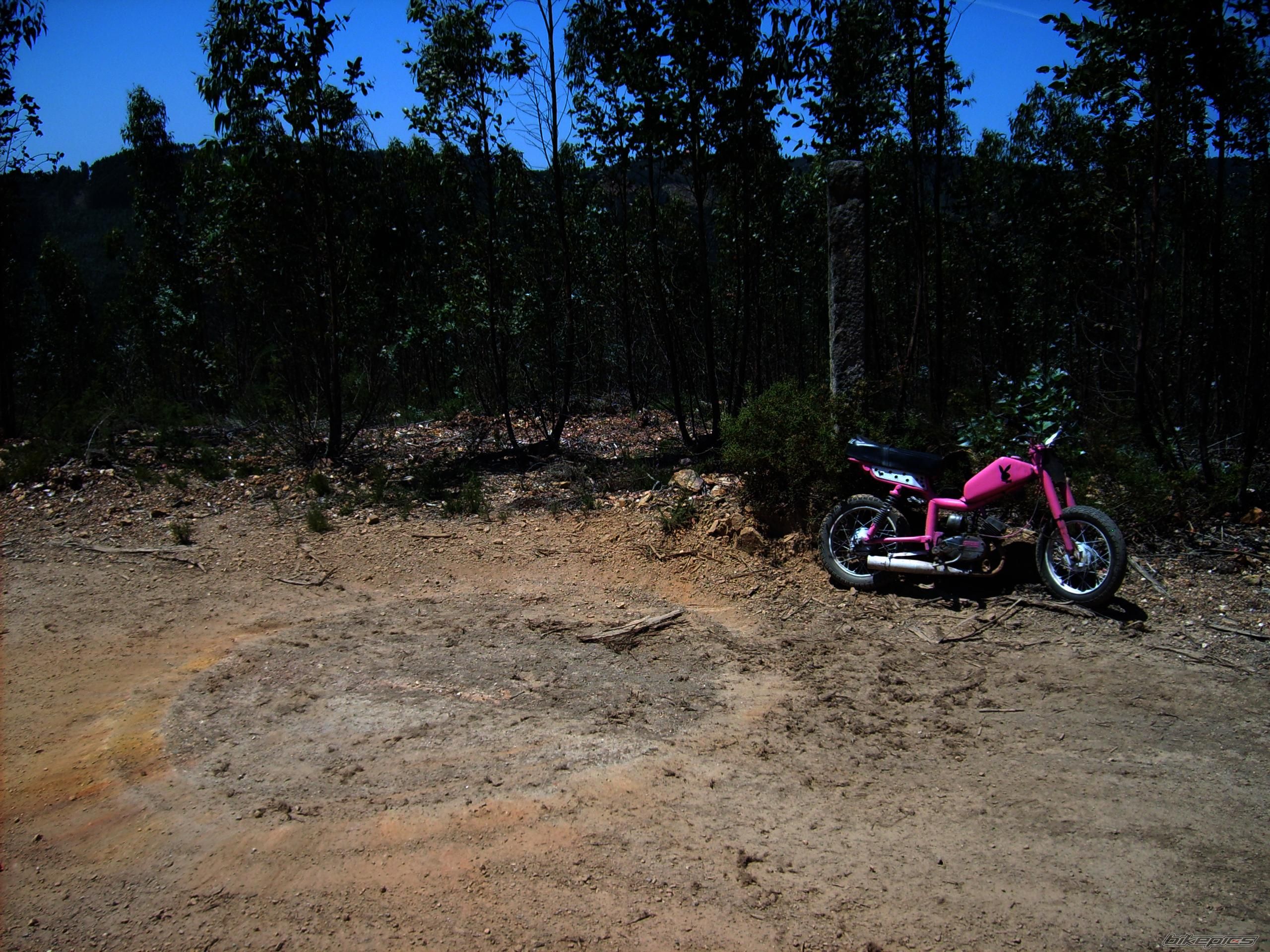Bike Photo 1681395