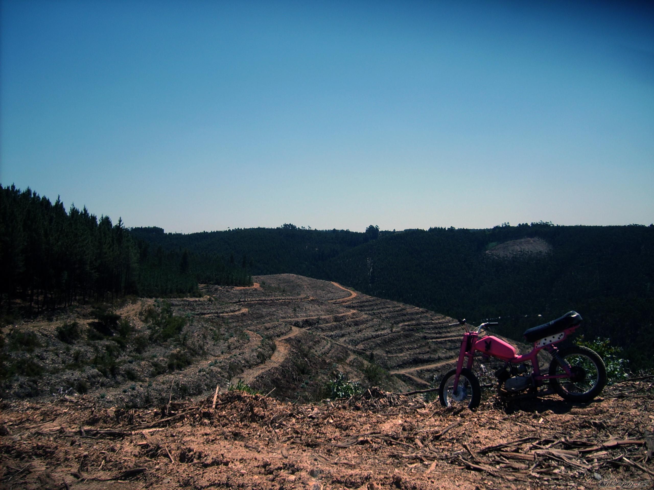 Bike Photo 1681397