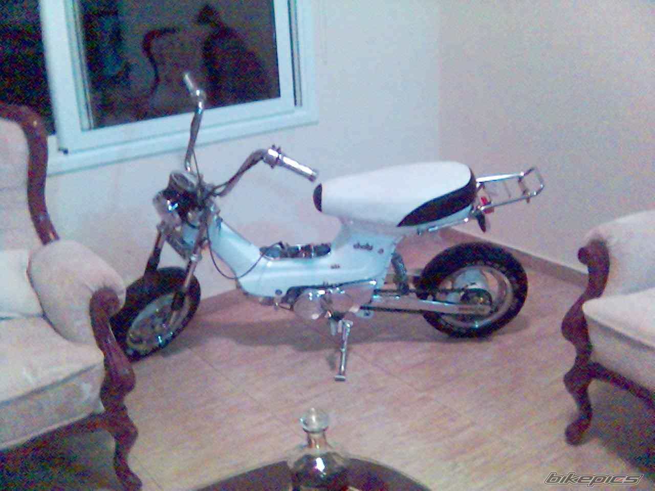 Photo 1681468