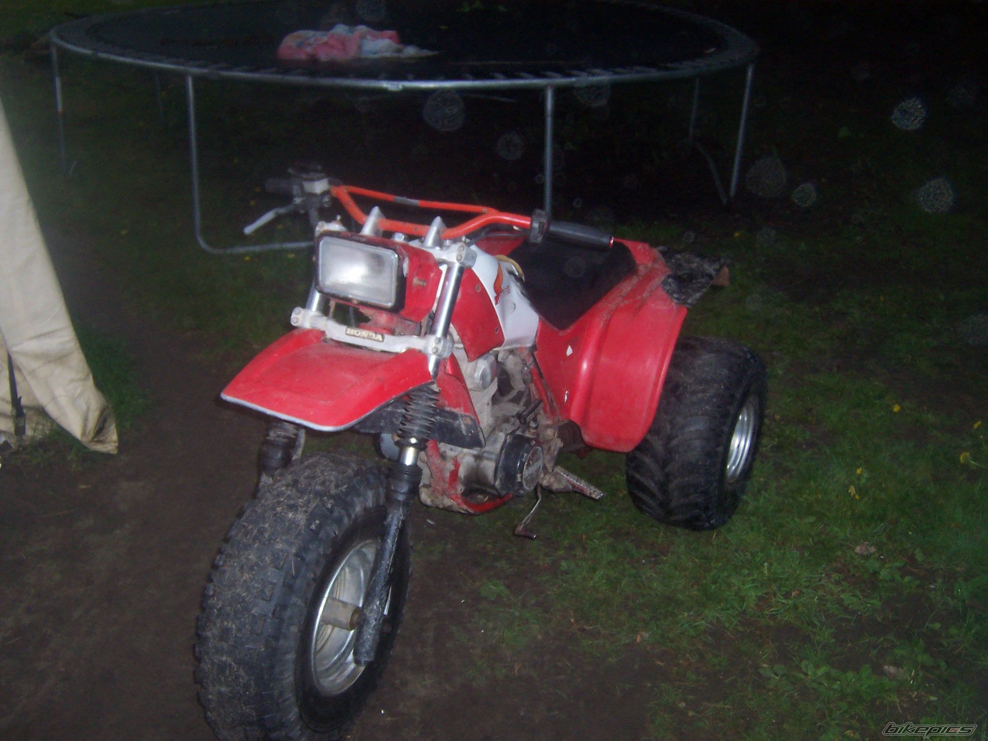 Photo 1681487