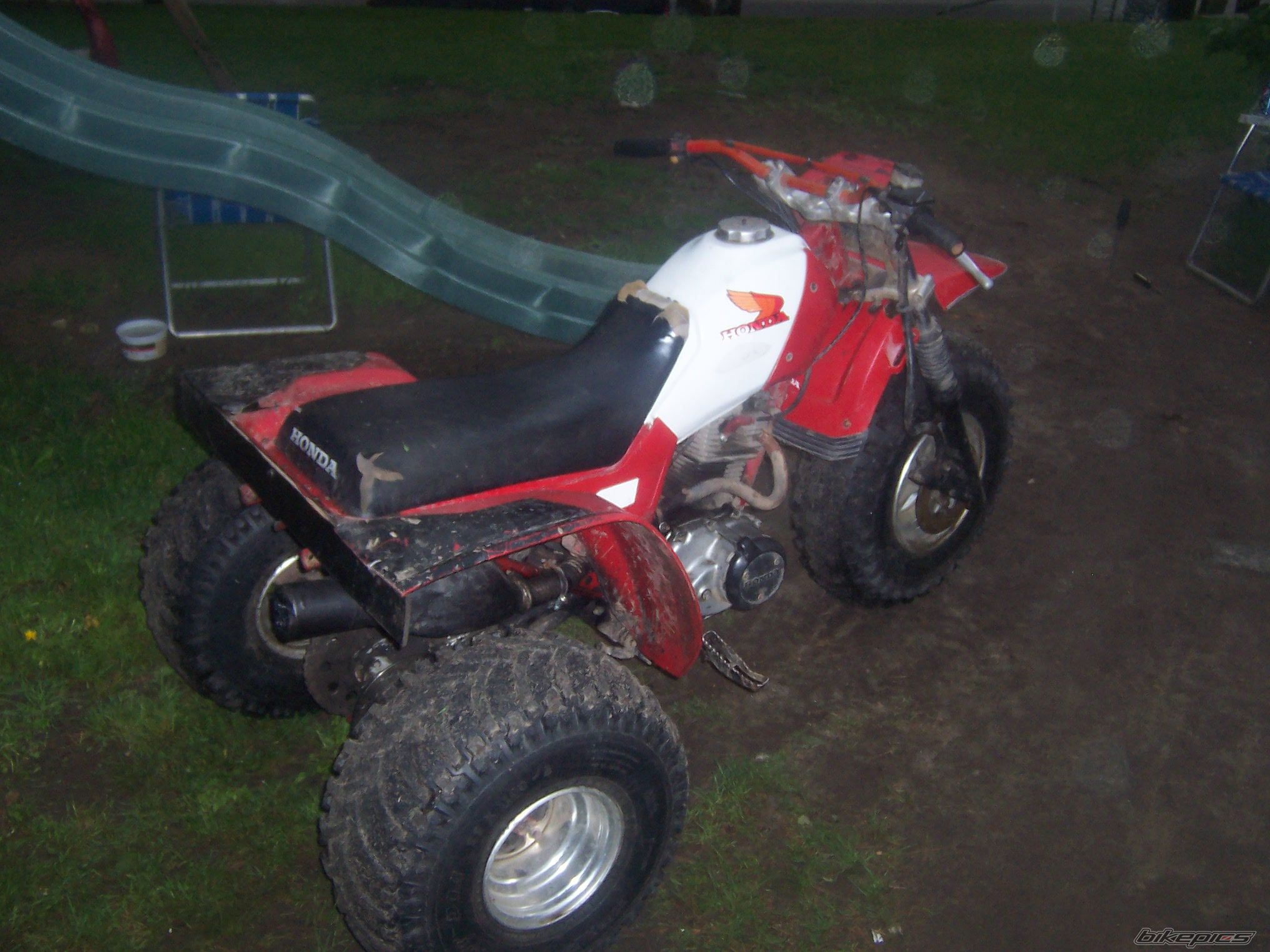 Photo 1681488