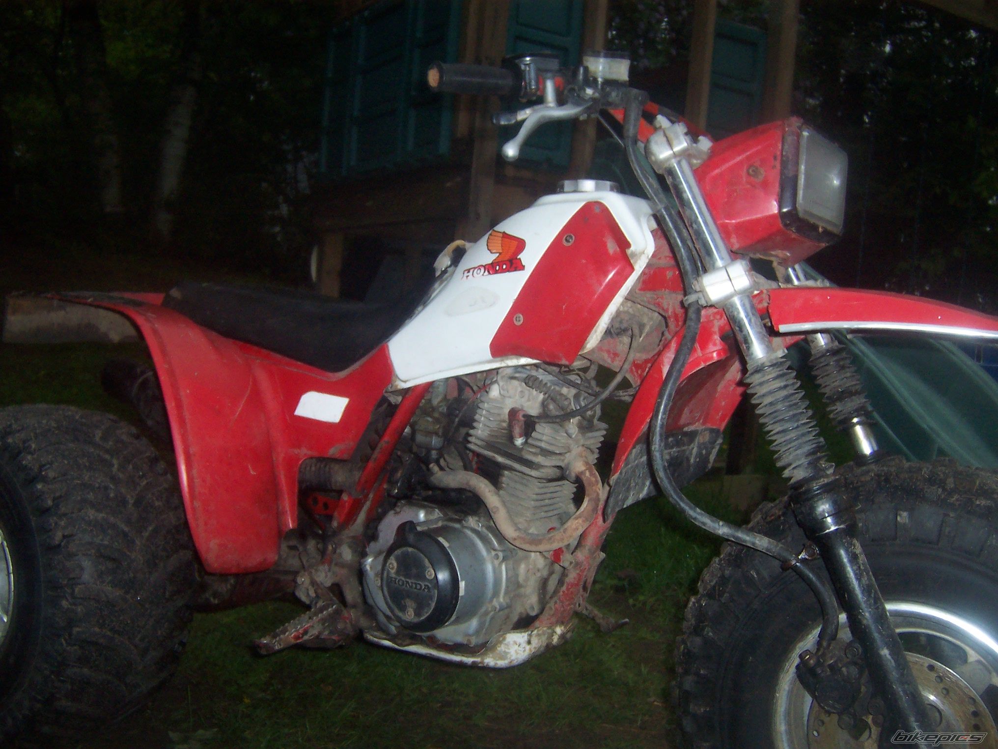 Photo 1681490