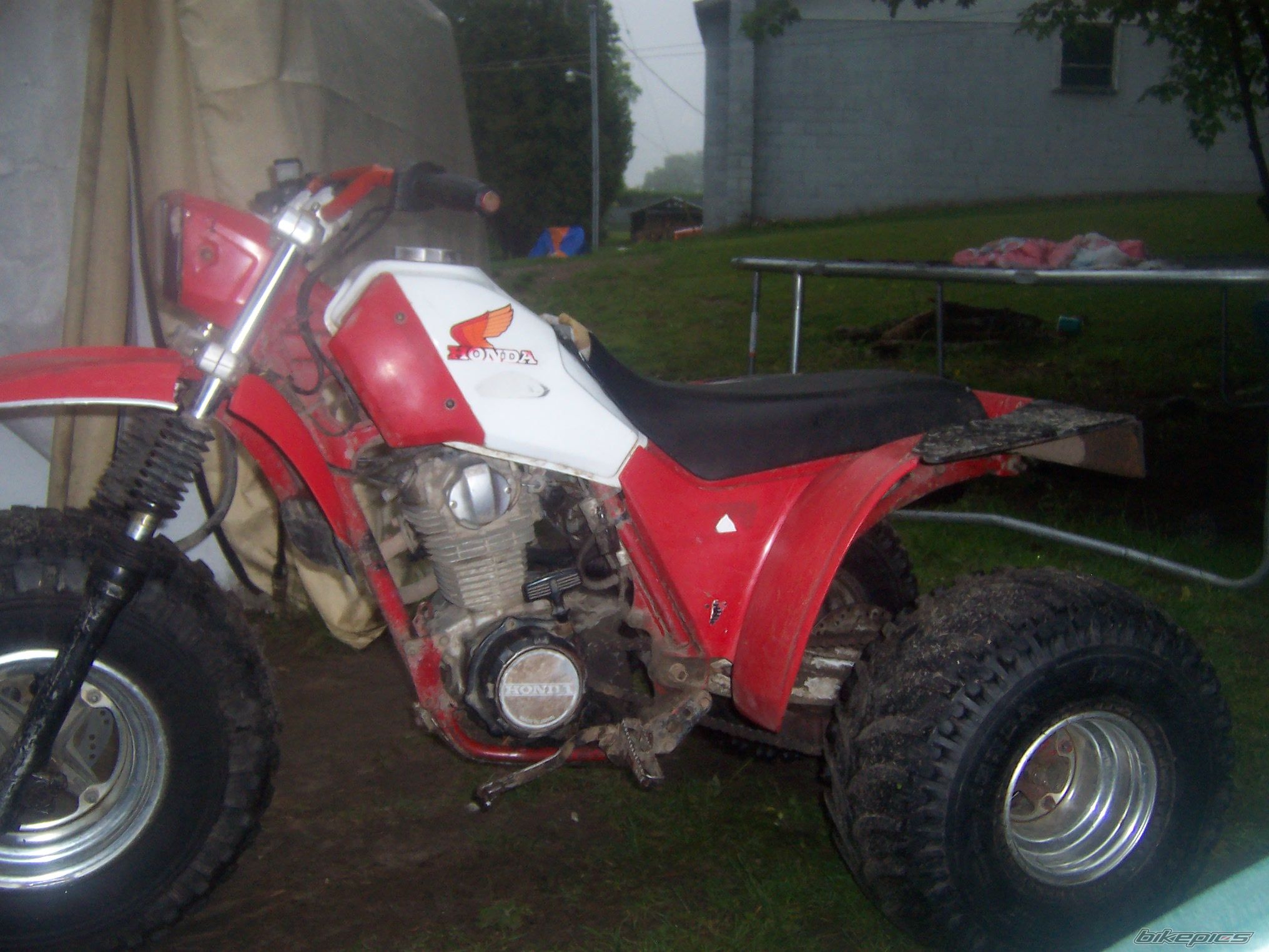 Photo 1681491