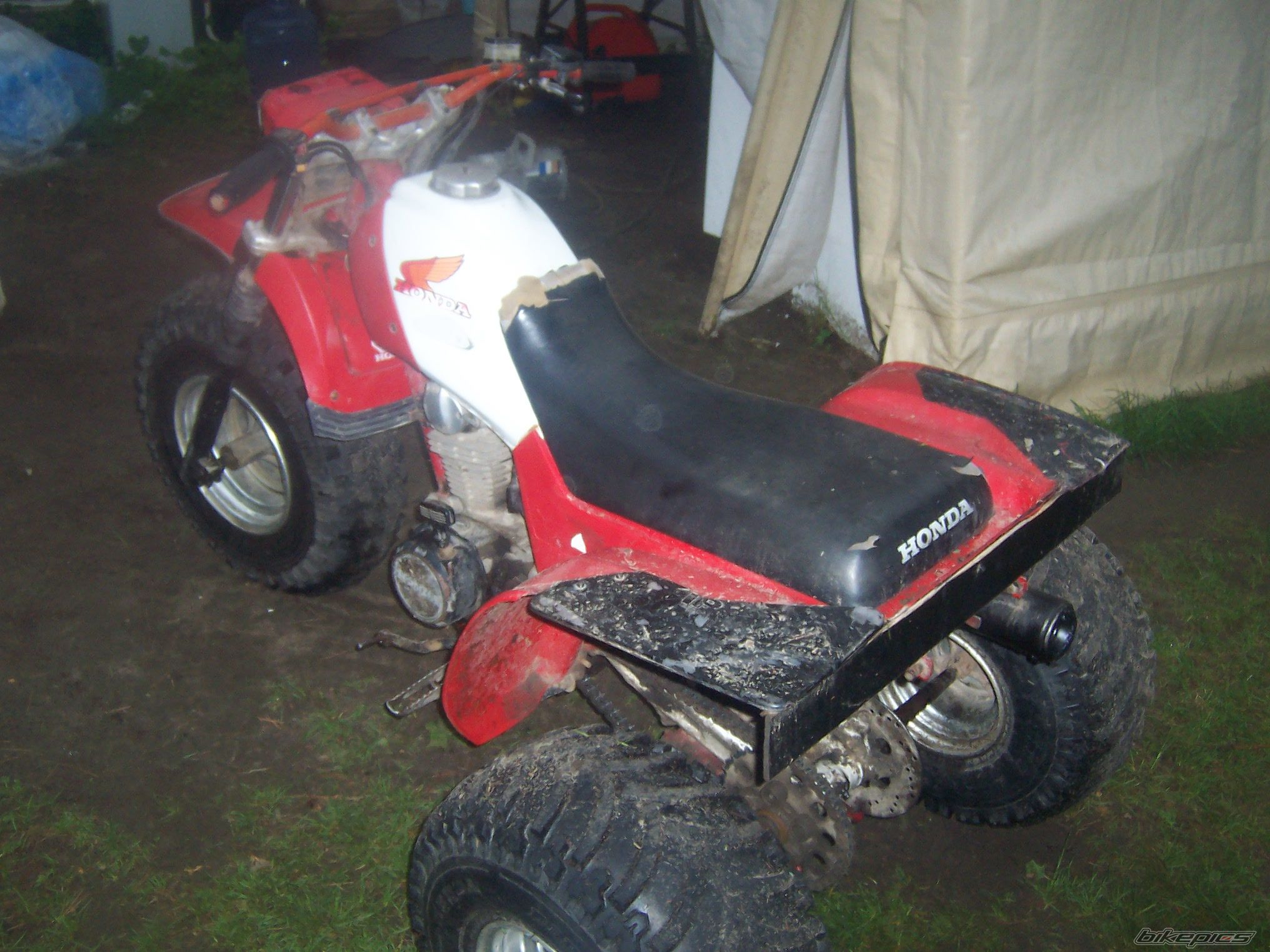 Photo 1681493