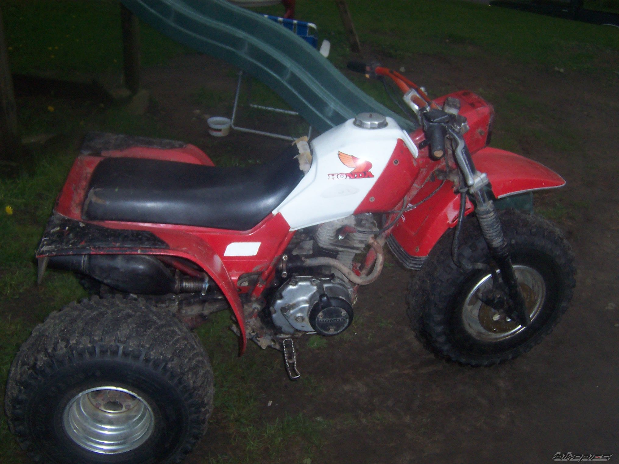 Photo 1681494