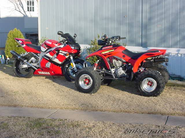 Photo 16815