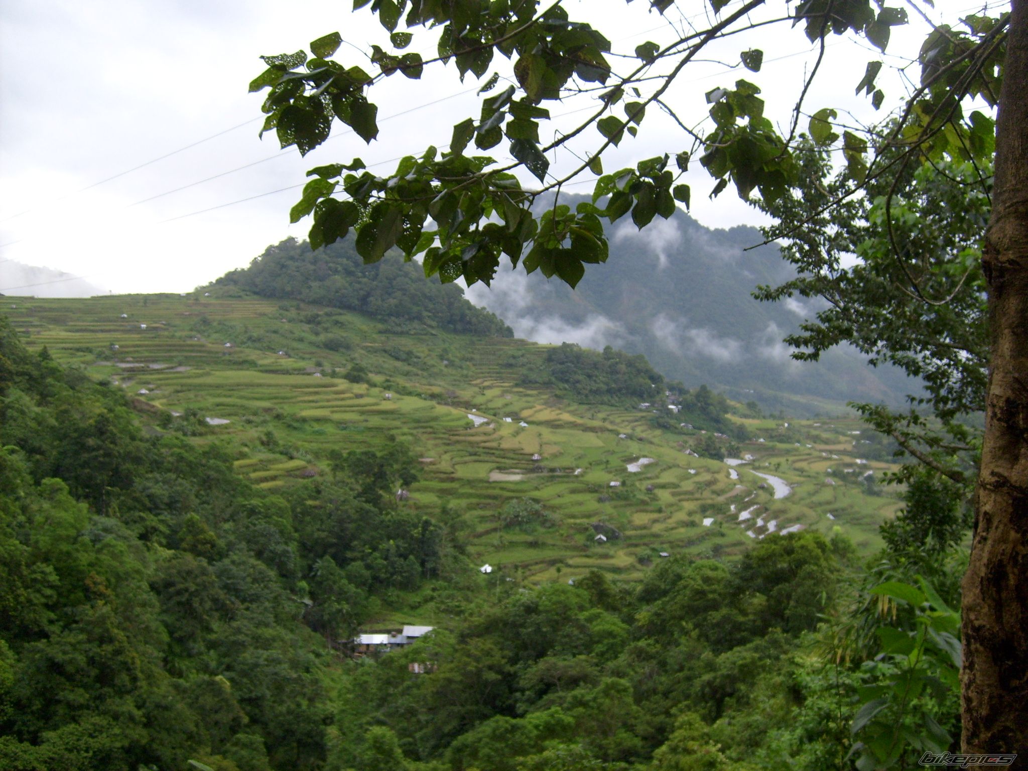 Photo 1681538