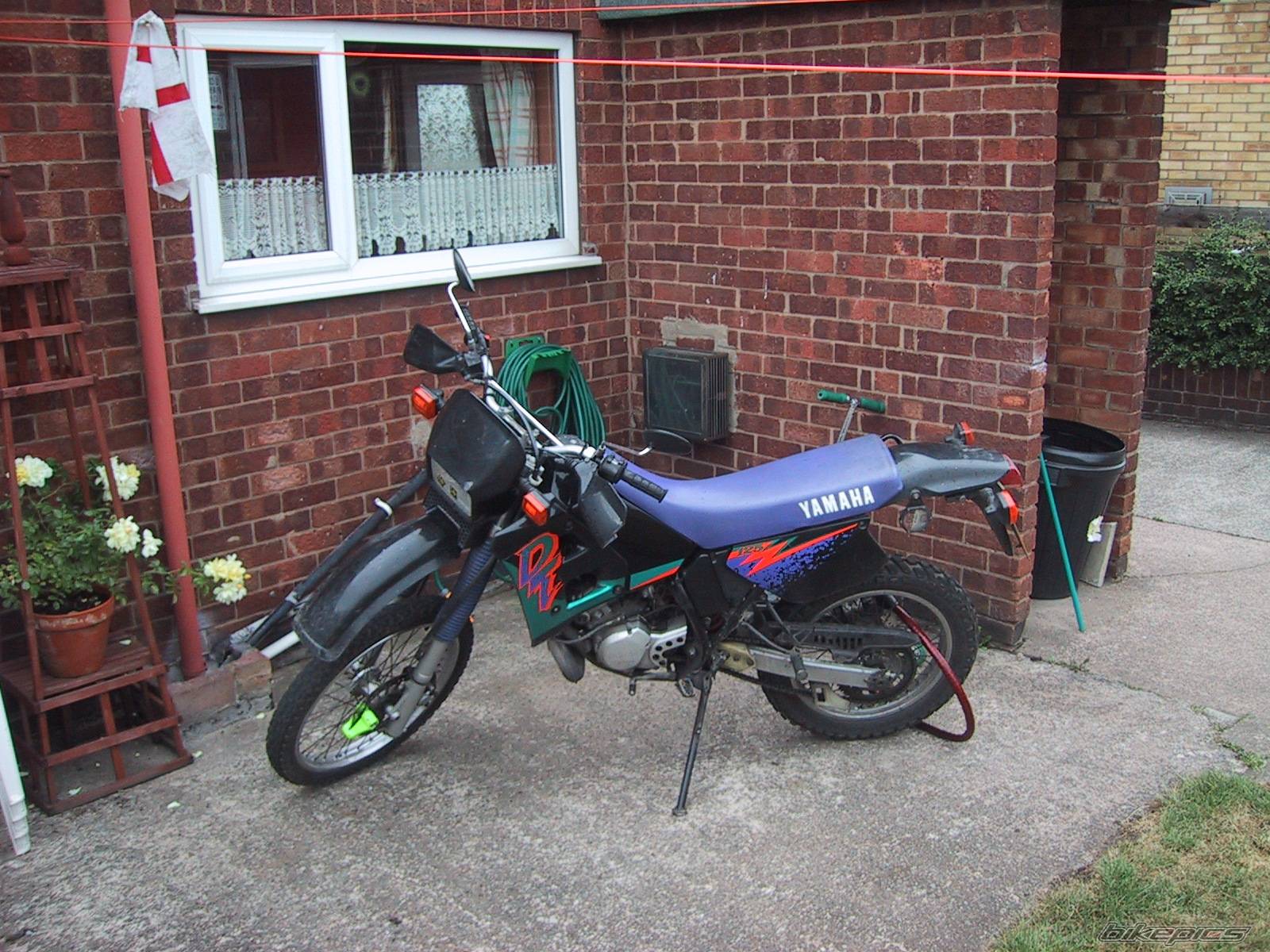 Photo 168163