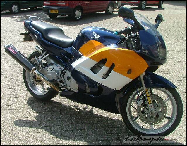 Photo 168171
