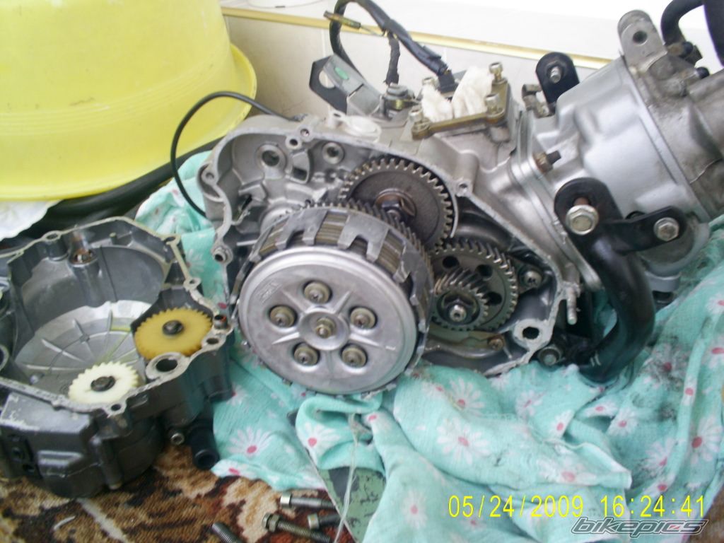 Photo 1681779