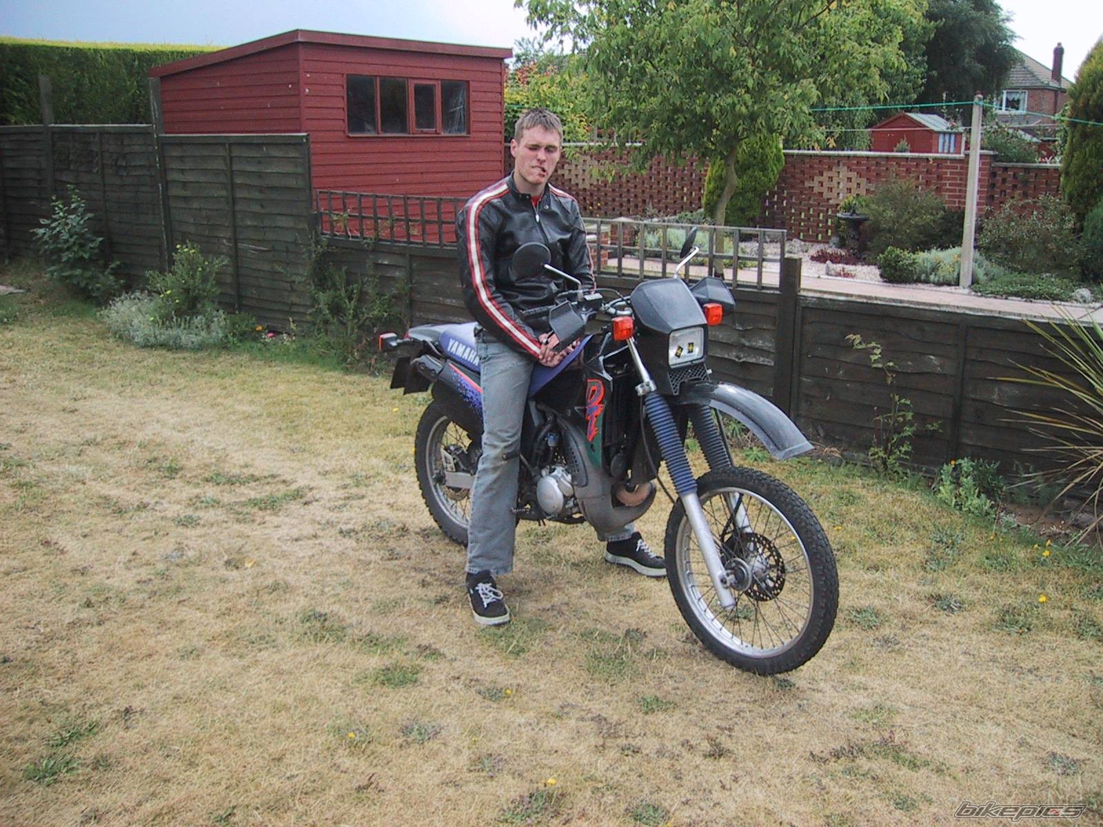 Photo 168178