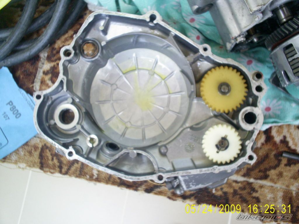 Photo 1681784