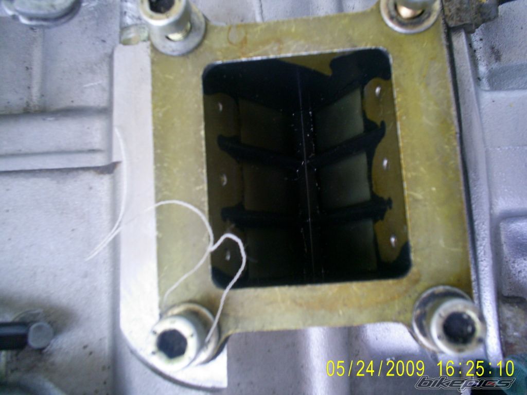 Photo 1681788