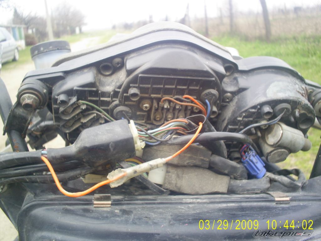 Photo 1681789