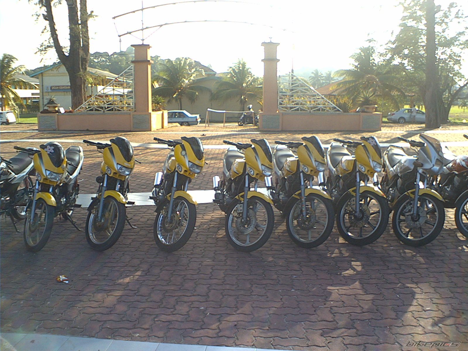 Photo 1681821