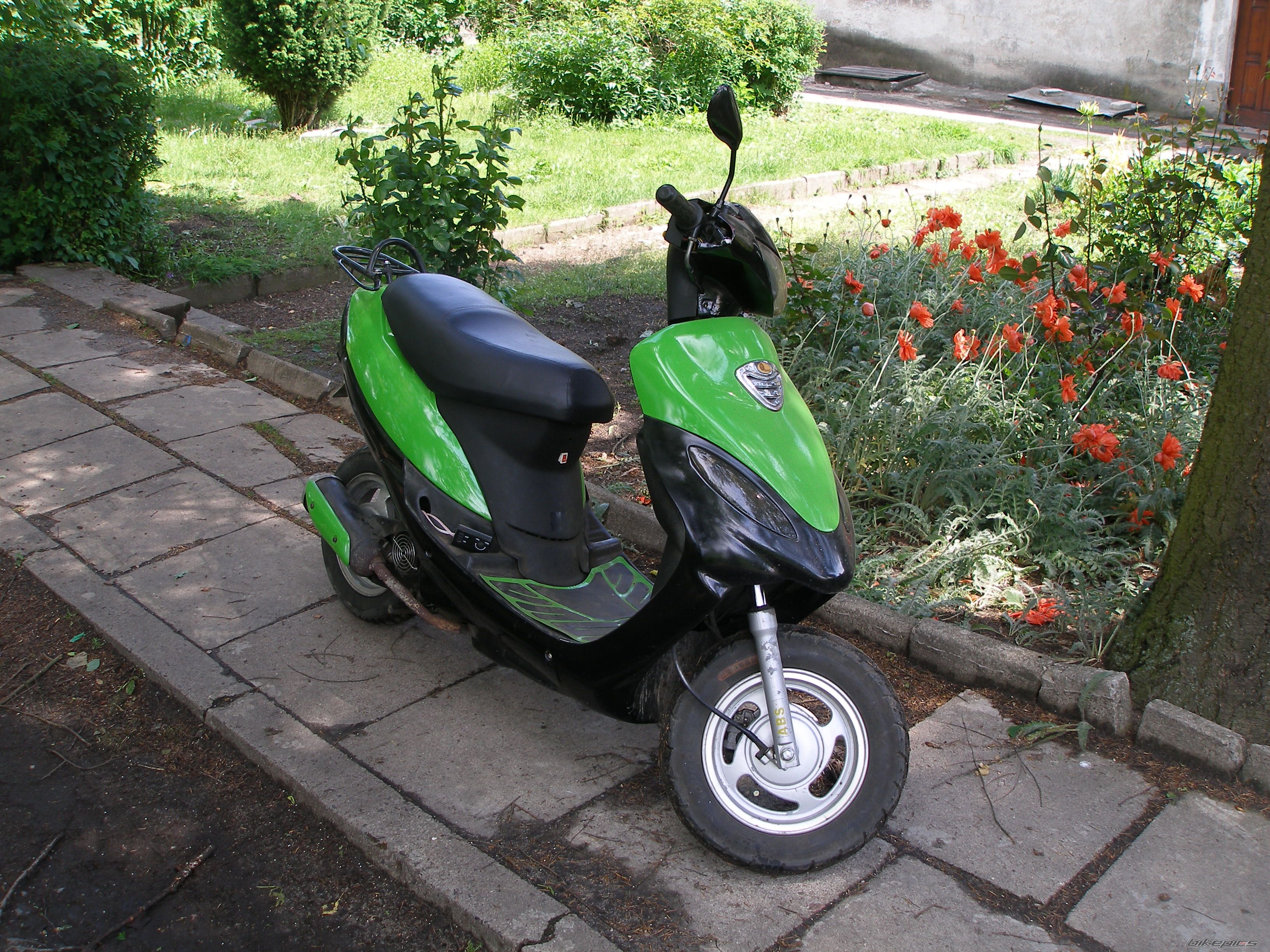 Photo 1681875