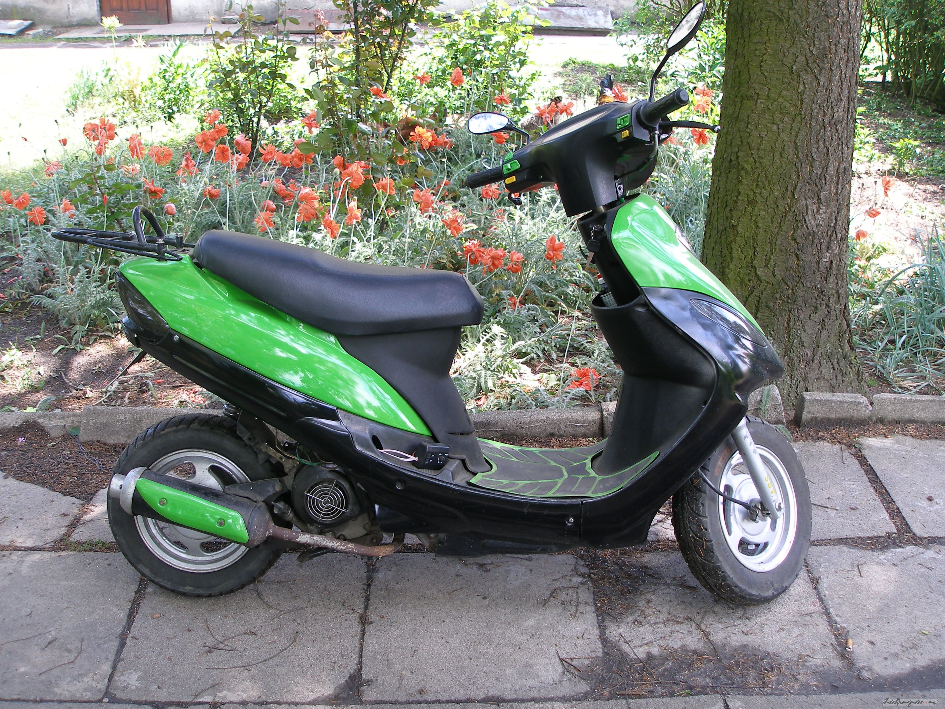 Photo 1681877