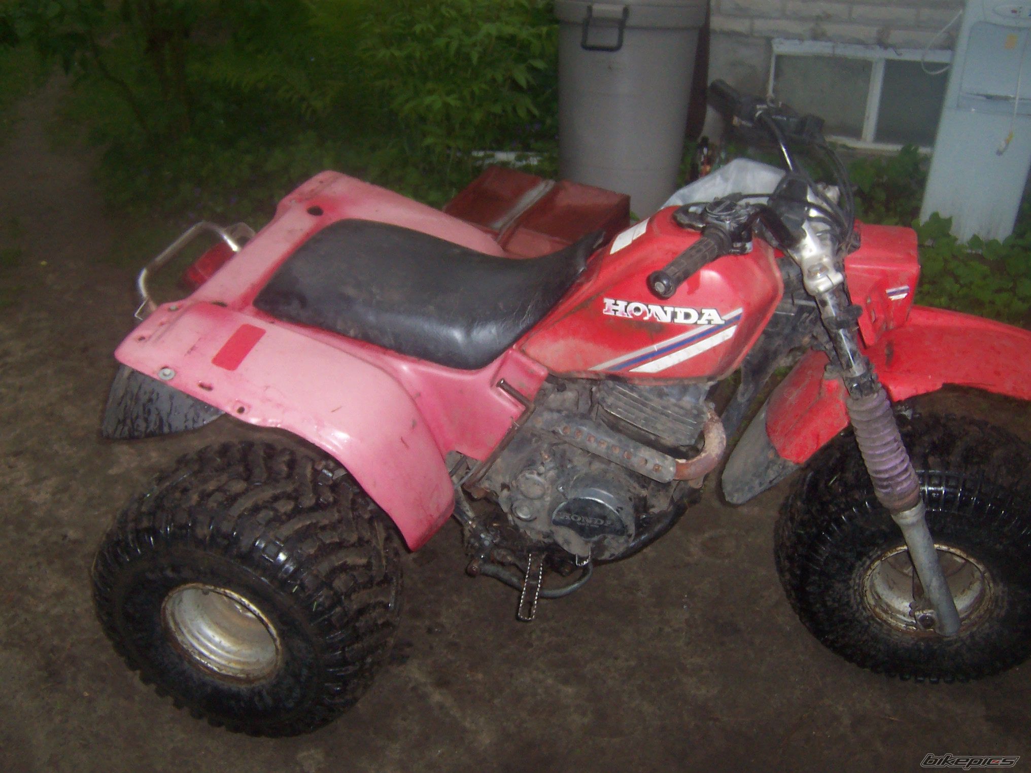 Photo 1681884