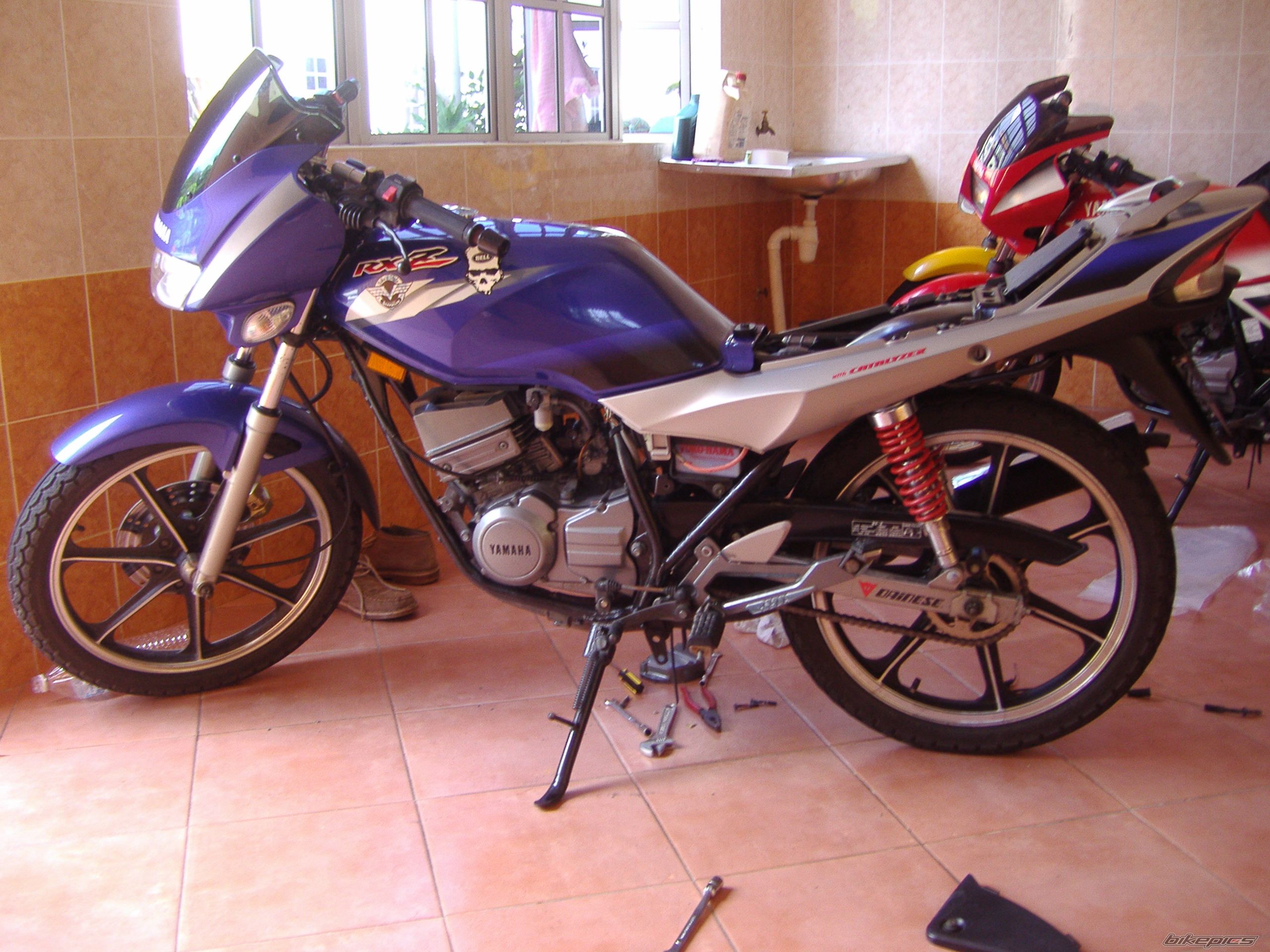 Photo 1682068