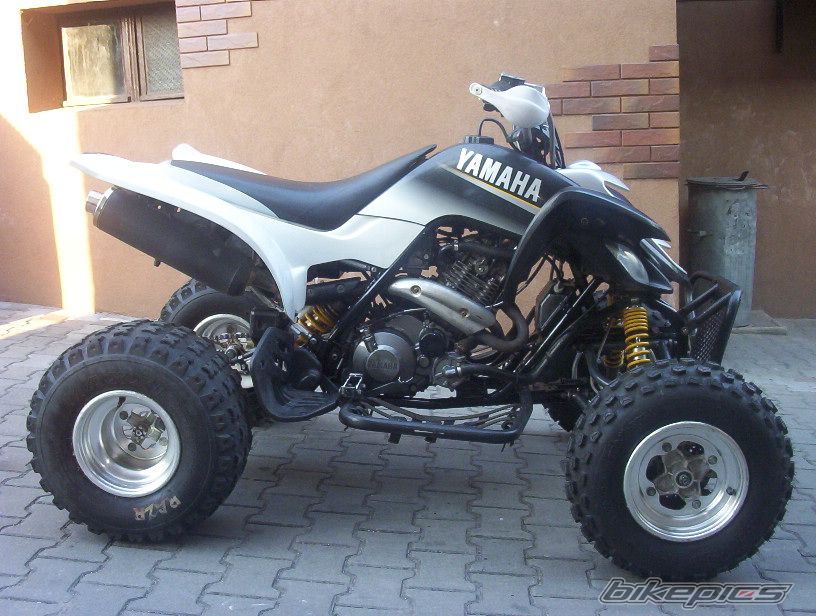 Photo 1682271