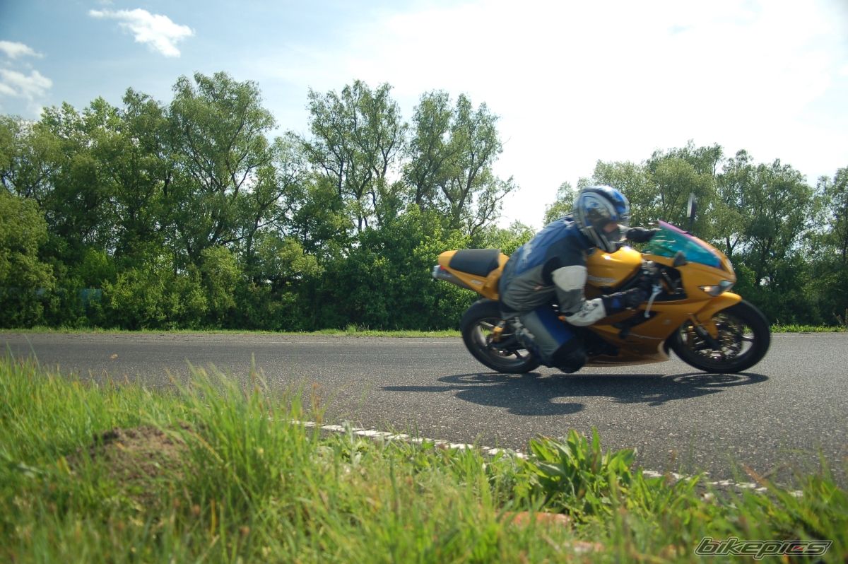 Photo 1682299