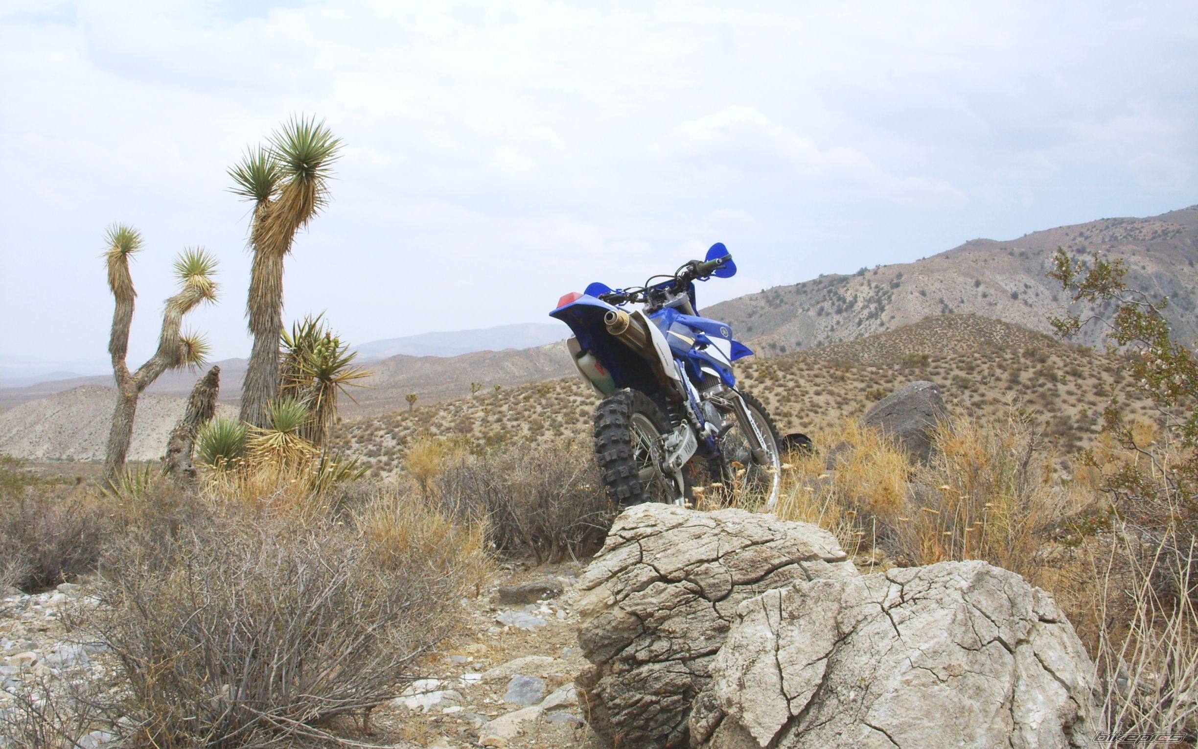 Bike Photo 1682408