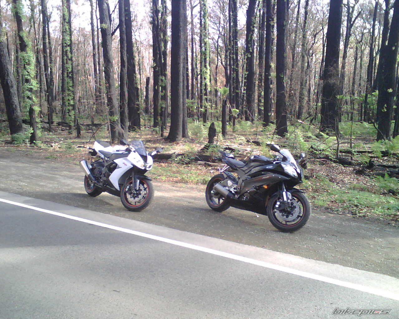 Bike Photo 1682495