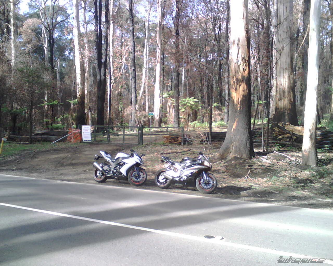 Photo 1682496