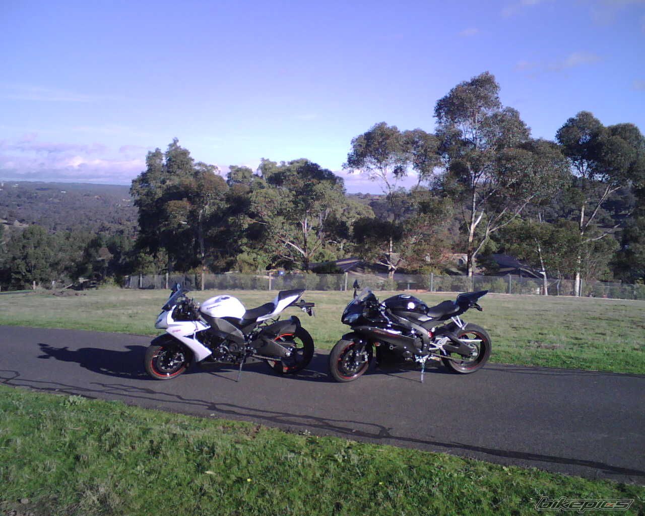 Photo 1682497