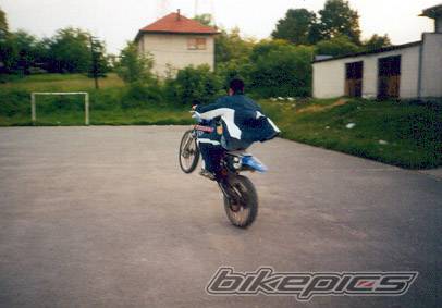 Photo 168253