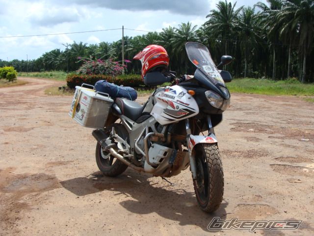 Photo 1682538