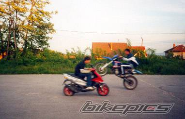 Photo 168258