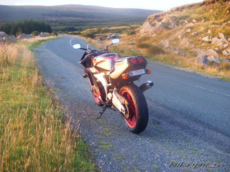 Photo 1682583