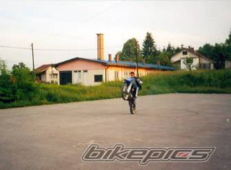 Photo 168262