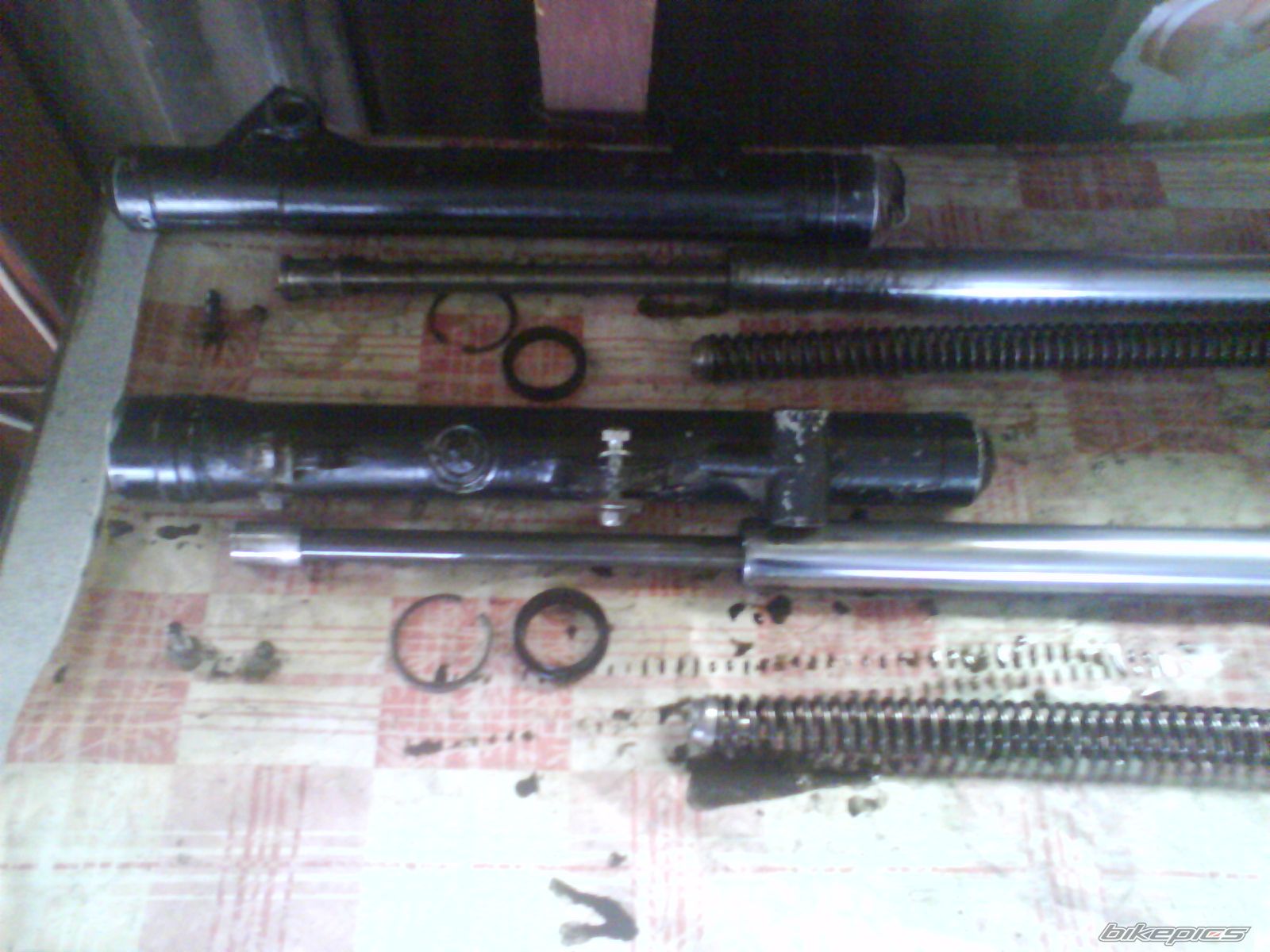 Photo 1682644