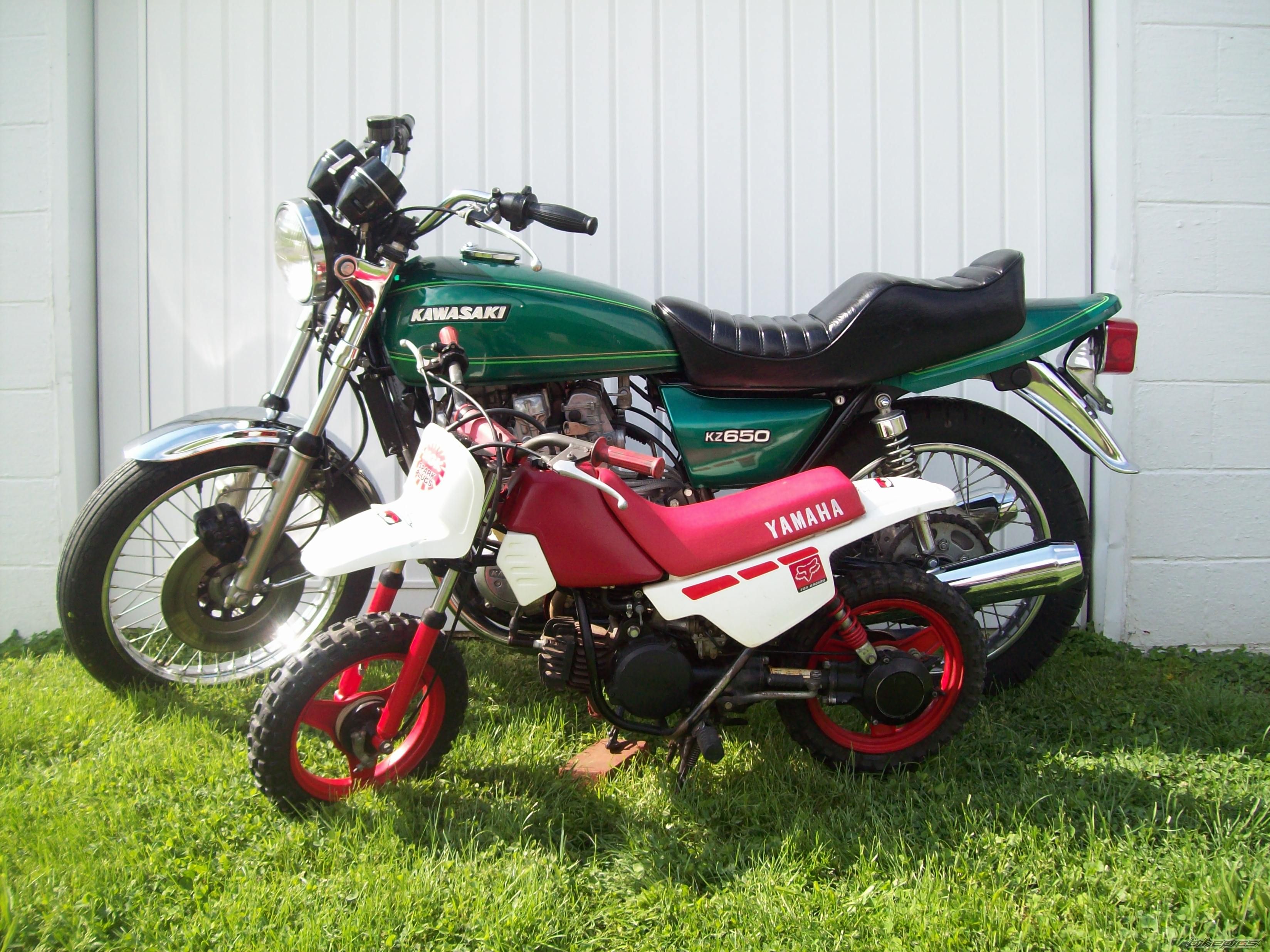 Photo 1682717