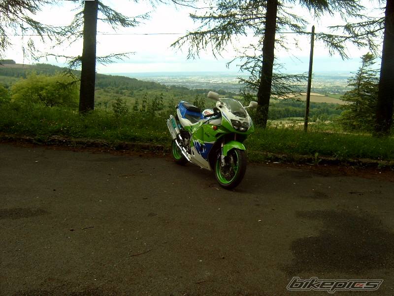 Photo 168276