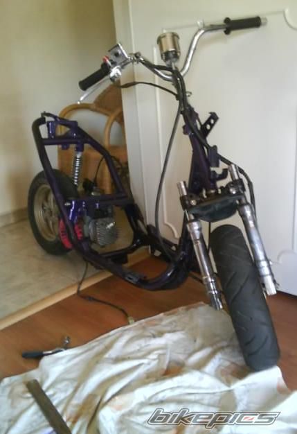 Photo 1682772