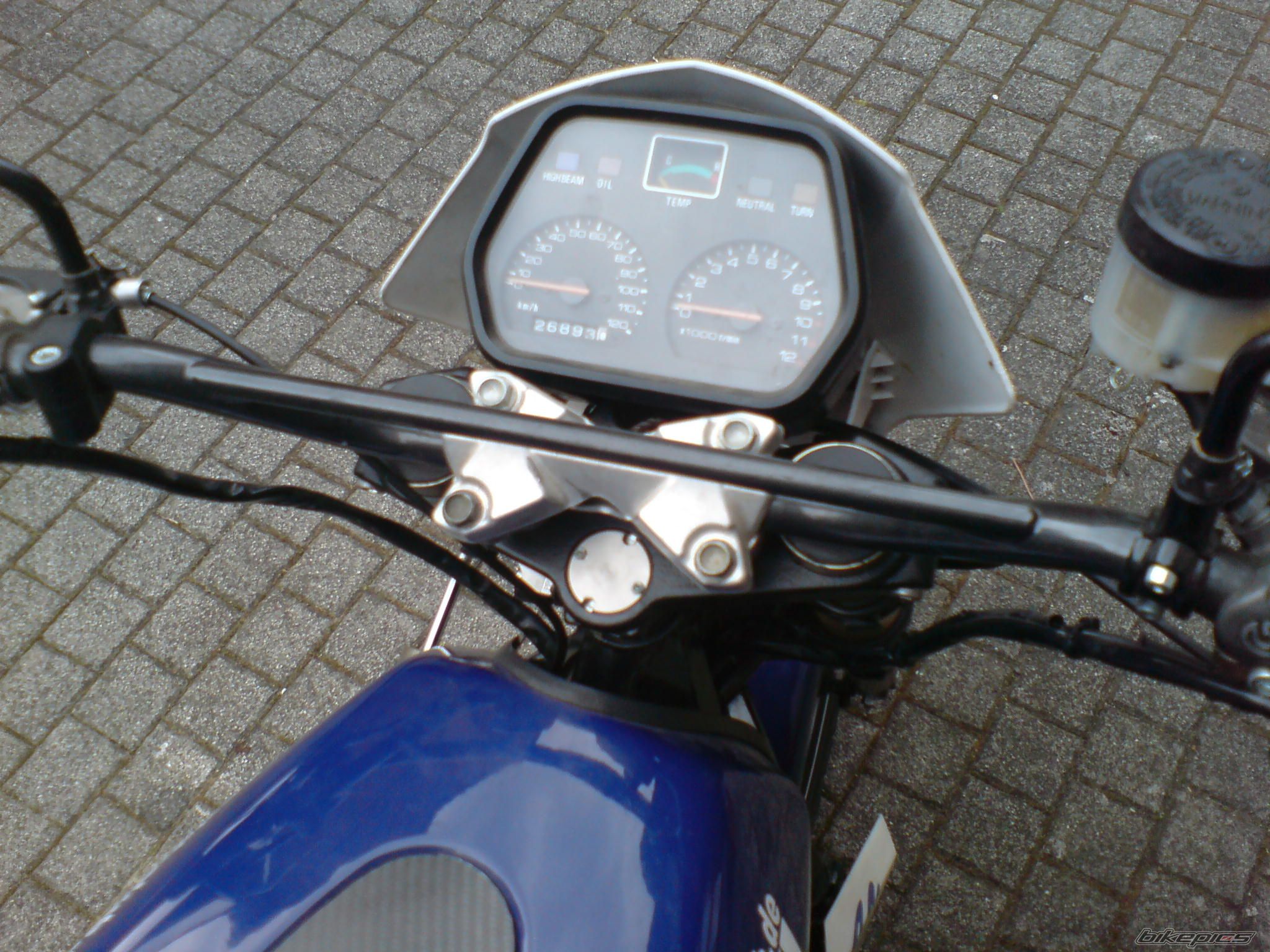 Photo 1682773
